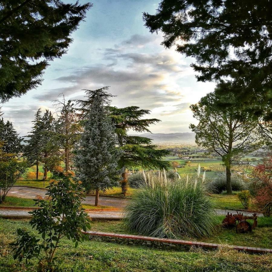 Casa Per Ferie Ulivo D'Assisi Villa Buitenkant foto