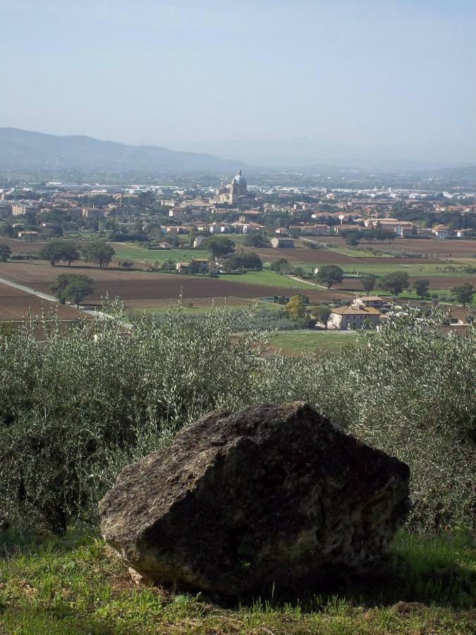 Casa Per Ferie Ulivo D'Assisi Villa Buitenkant foto