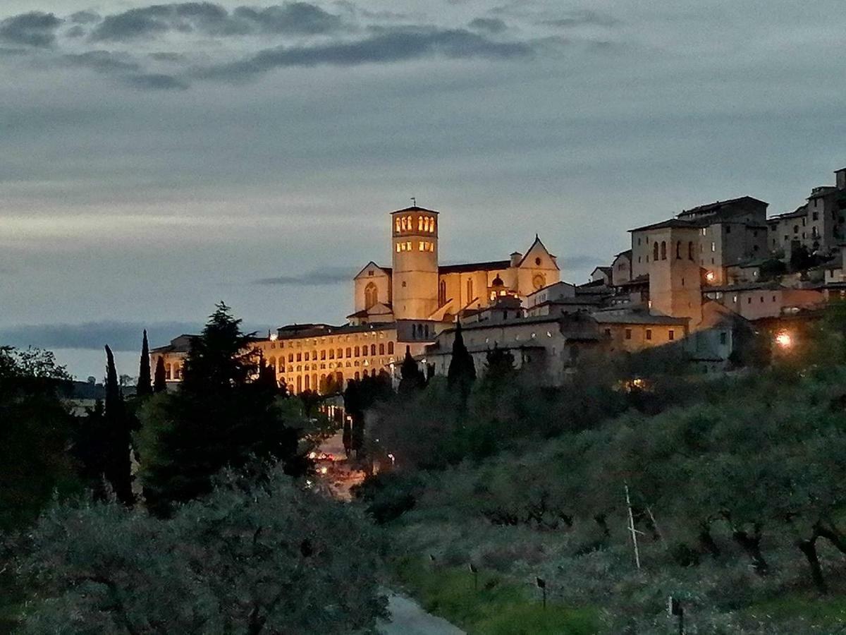 Casa Per Ferie Ulivo D'Assisi Villa Buitenkant foto