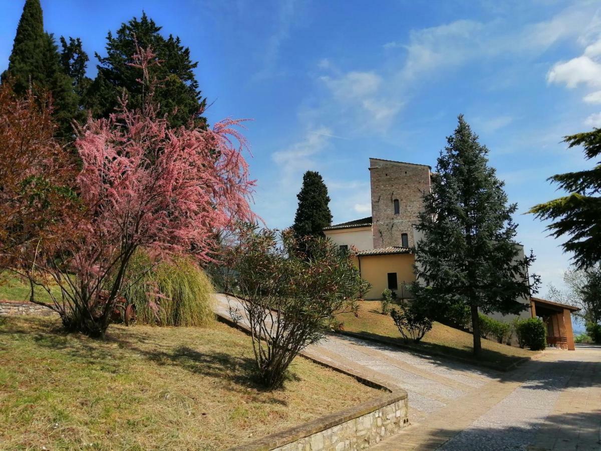 Casa Per Ferie Ulivo D'Assisi Villa Buitenkant foto